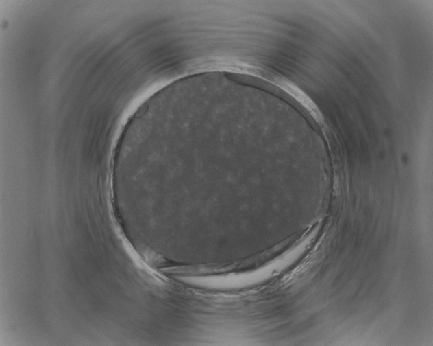 X0000062631144200601181713