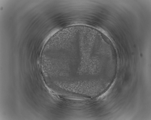 X0000062631145200601181713