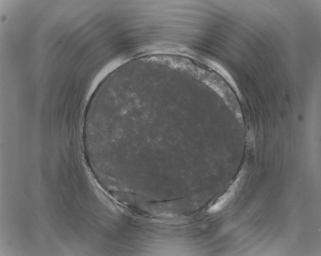 X0000062631146200601181713