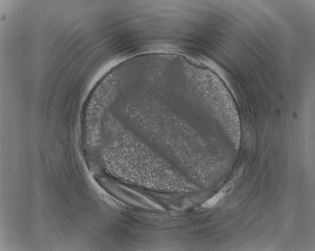 X0000062631147200601181713