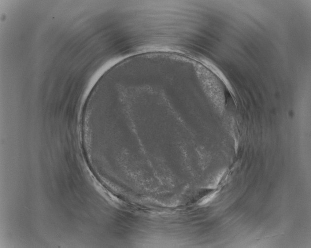 X0000062631148200601181713