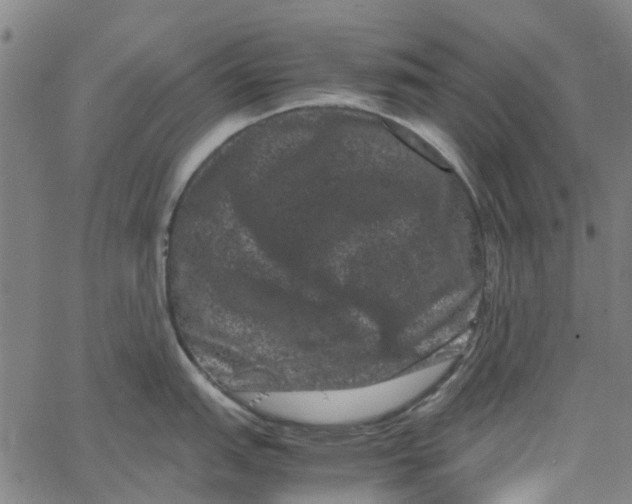 X0000062631151200601181713