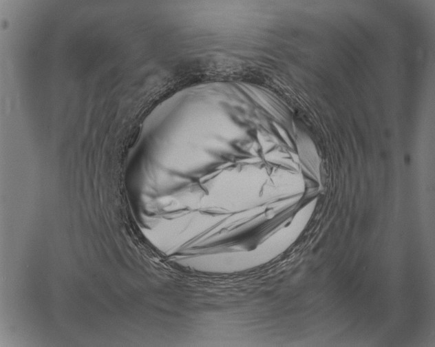 X0000062631153200601181712