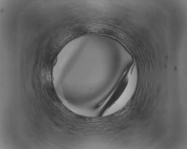 X0000062631155200601181712