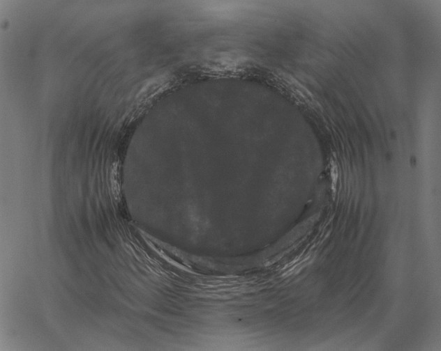 X0000062631156200601181712