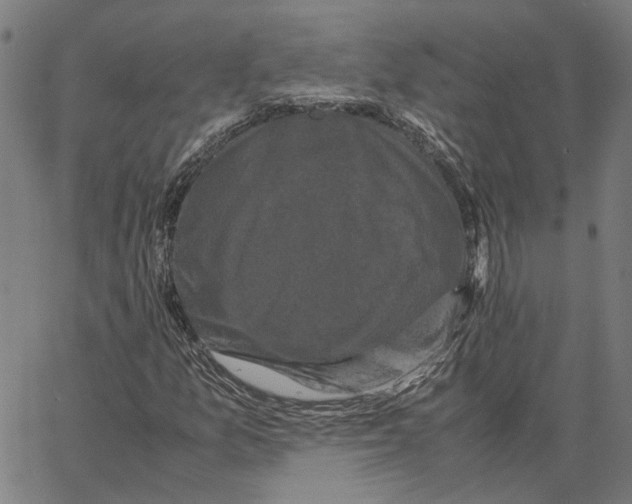 X0000062631157200601181712