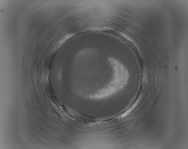 X0000062631161200601181712