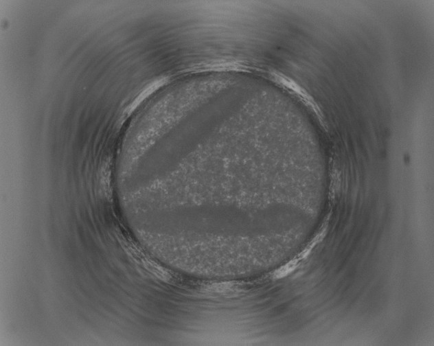 X0000062631162200601181712