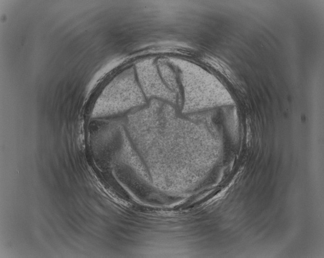 X0000062631164200601181712