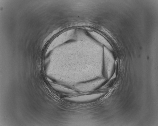 X0000062631165200601181712