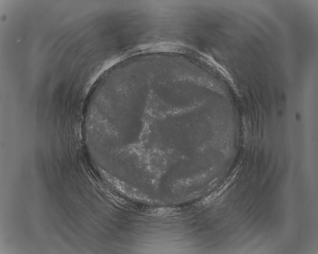 X0000062631166200601181712