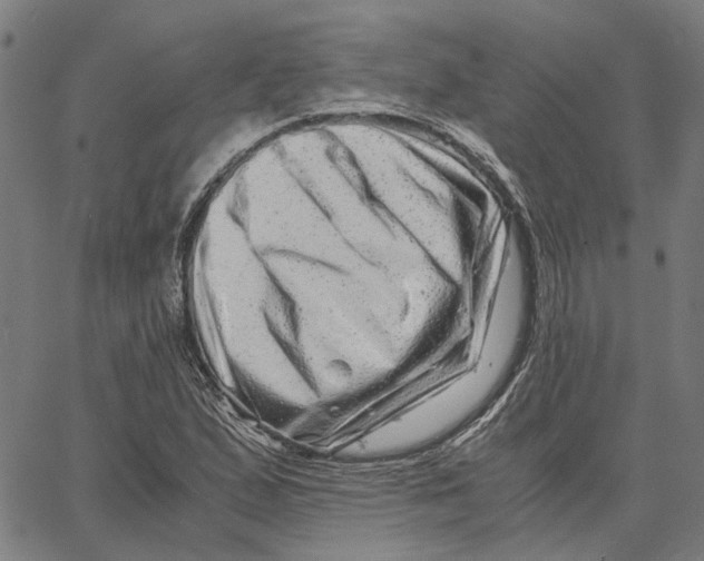 X0000062631167200601181712