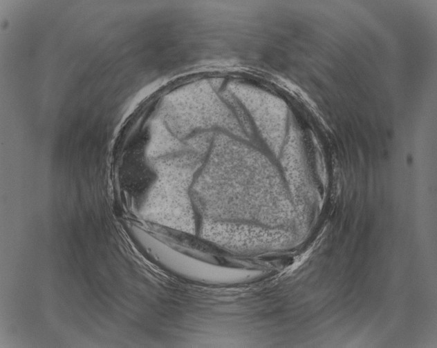 X0000062631168200601181712