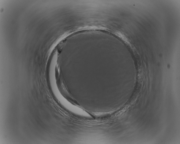 X0000062631173200601181712