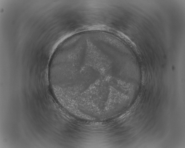 X0000062631174200601181712