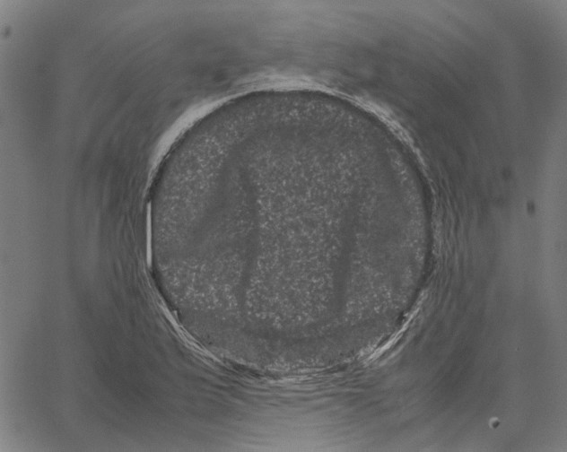 X0000062631175200601181712