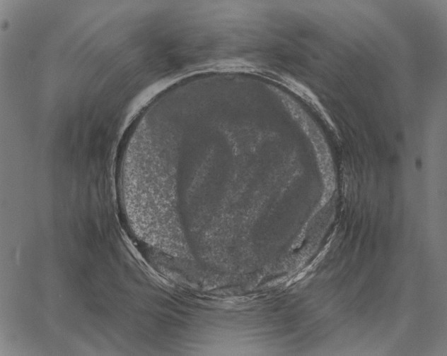 X0000062631176200601181712