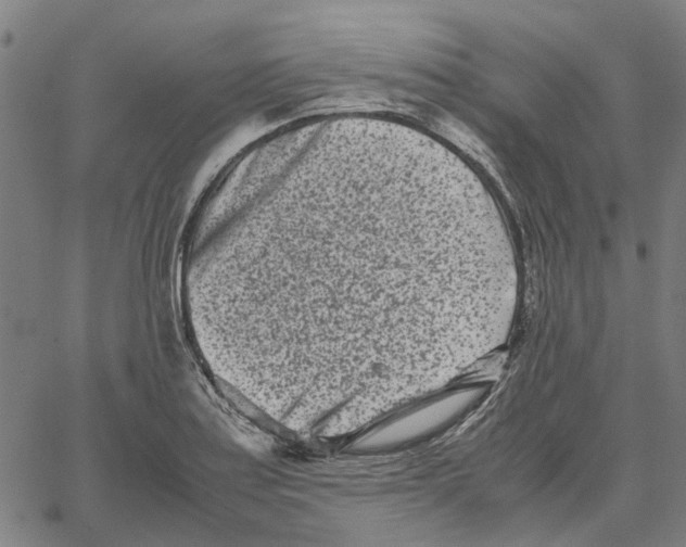 X0000062631179200601181712