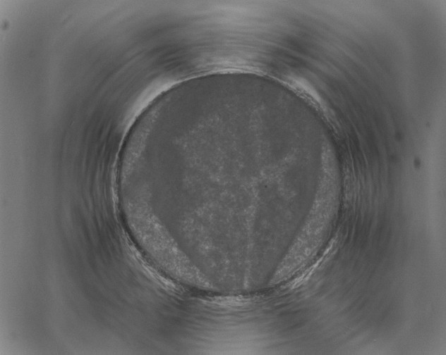 X0000062631182200601181712