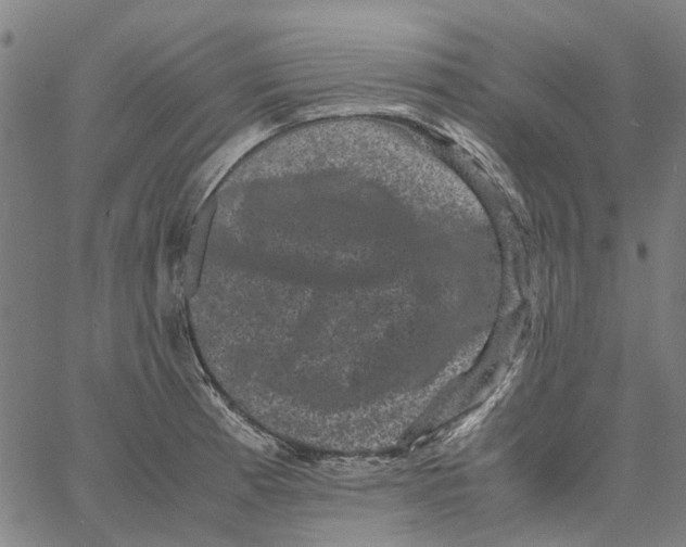 X0000062631185200601181712