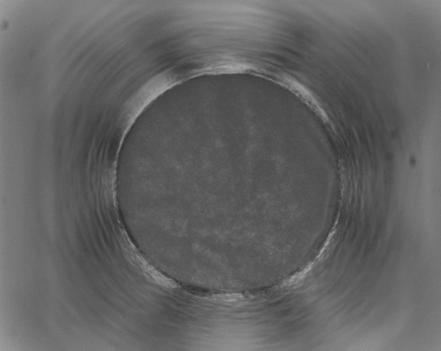 X0000062631186200601181712