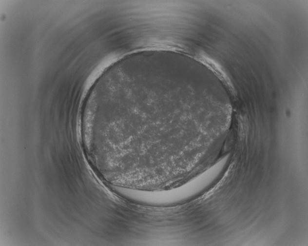 X0000062631188200601181712