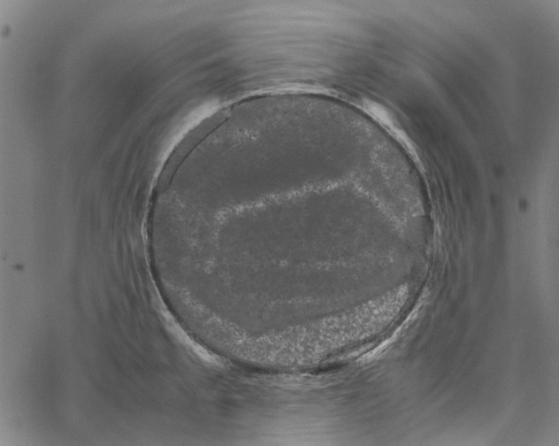 X0000062631189200601181712