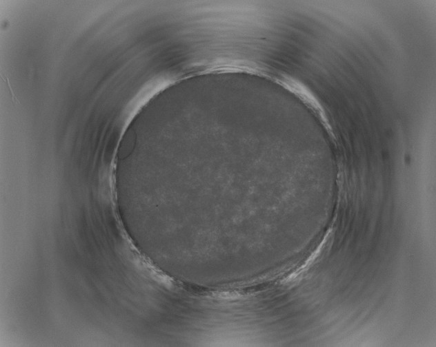 X0000062631190200601181712