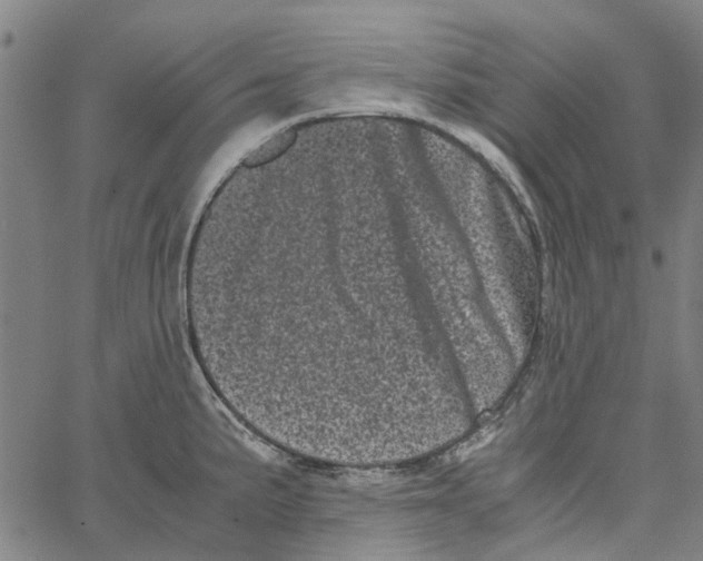 X0000062631191200601181712