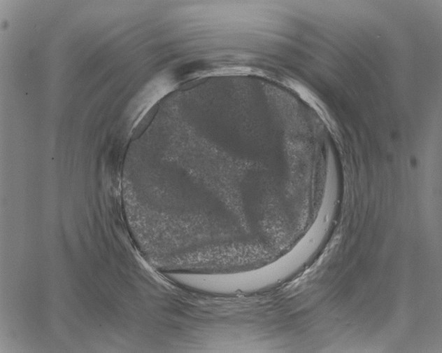 X0000062631193200601181712