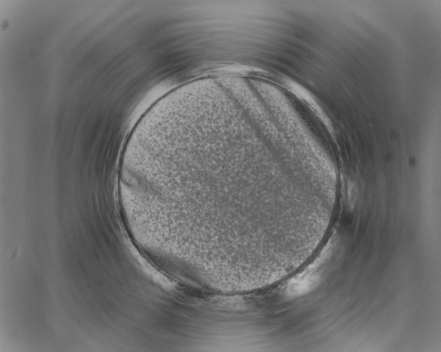 X0000062631194200601181712