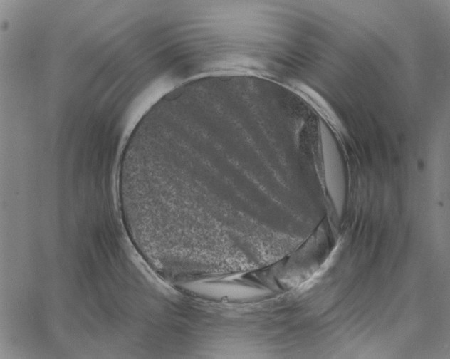 X0000062631196200601181712