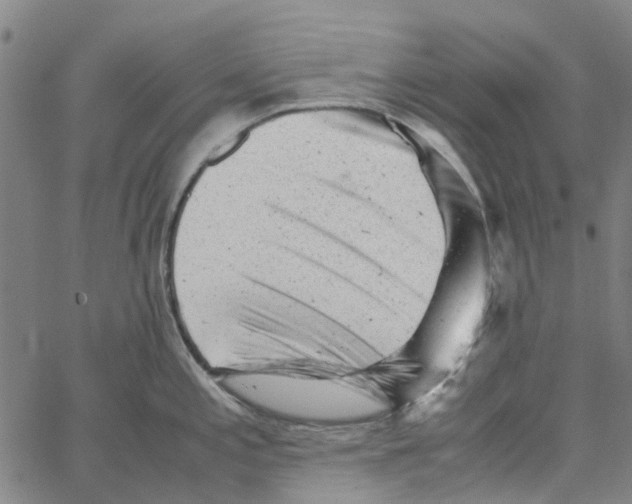 X0000062631197200601181712