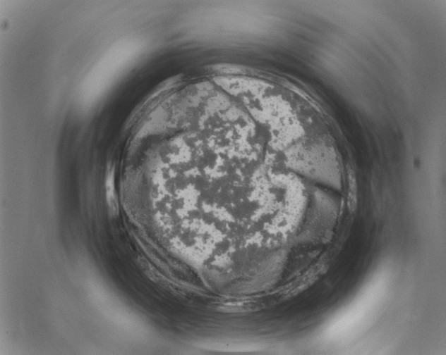 X0000062631198200601181712