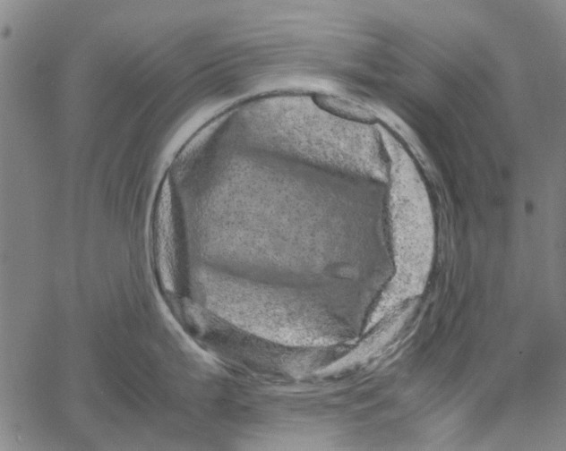 X0000062631199200601181712