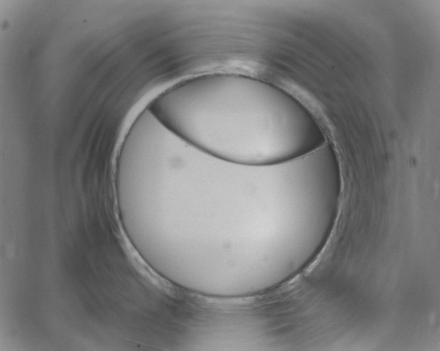 X0000062631200200601181712