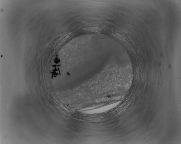 X0000062631201200601181711