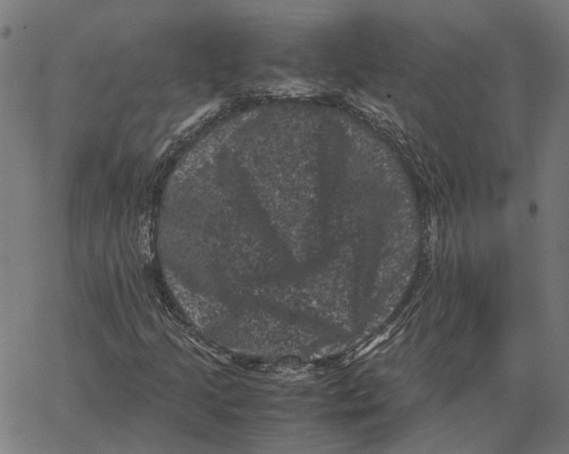 X0000062631205200601181711