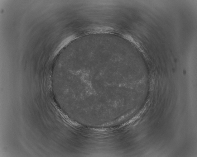 X0000062631211200601181711