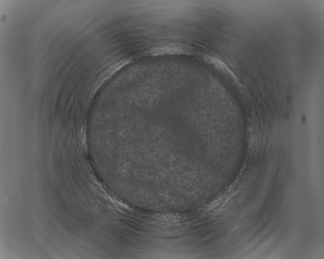 X0000062631217200601181711