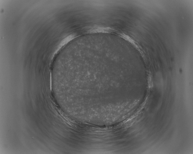 X0000062631219200601181711