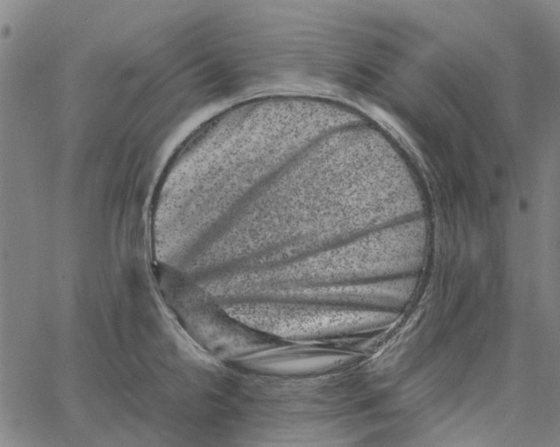 X0000062631238200601181712