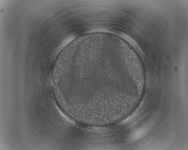 X0000062631241200601181712