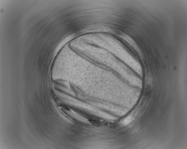 X0000062631242200601181712