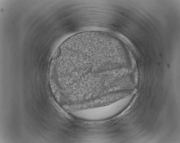 X0000062631244200601181712