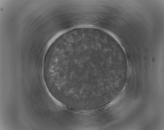 X0000062631245200601181712