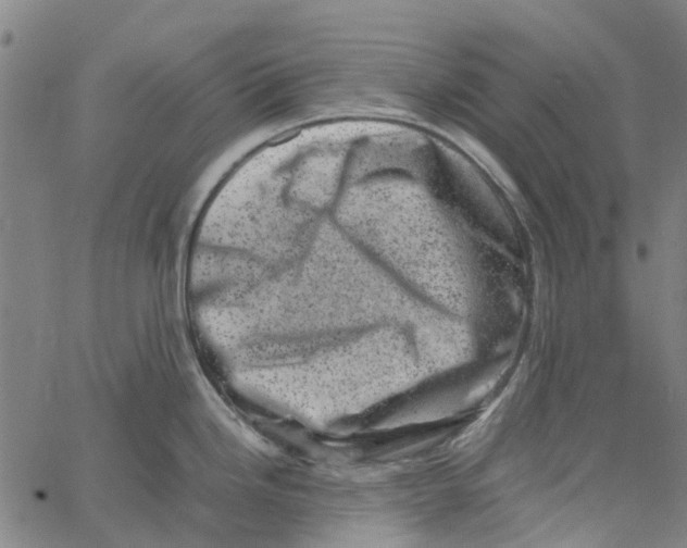 X0000062631246200601181712