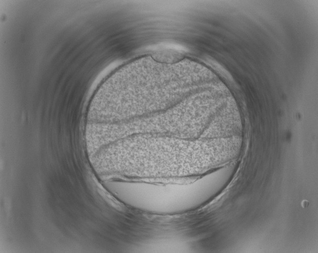 X0000062631248200601181712