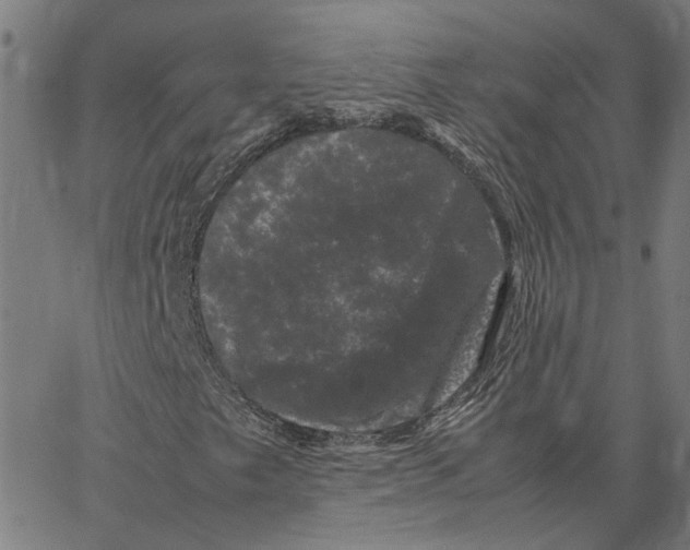 X0000062631249200601181711