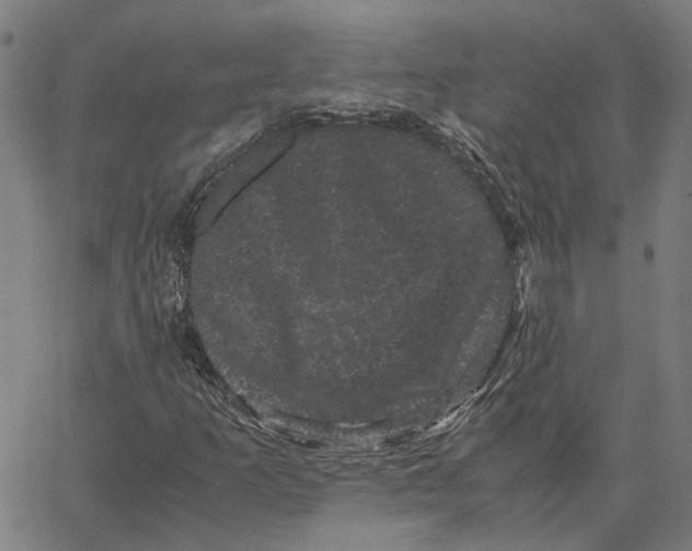 X0000062631253200601181711